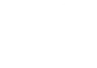 Nikkah Biryani